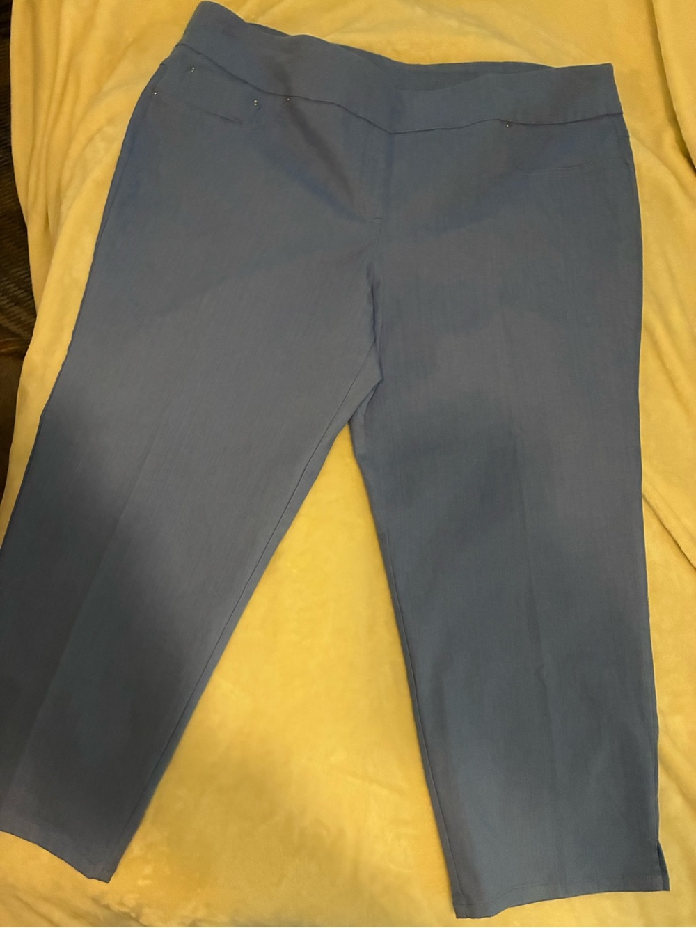 Ruby Rd. Ankle length slimming contour waistband blue pants size 24W